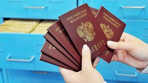 прописка в Невеле